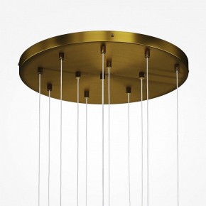 Подвесная люстра Maytoni Frozen MOD254PL-12BS в Ижевске - izhevsk.mebel24.online | фото 4