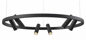 Подвесная люстра Maytoni Halo MOD102PL-L42BK в Ижевске - izhevsk.mebel24.online | фото