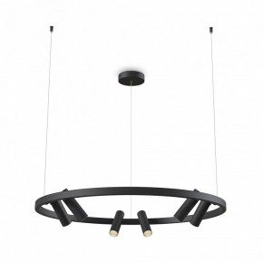 Подвесная люстра Maytoni Halo MOD102PL-L42BK в Ижевске - izhevsk.mebel24.online | фото 2