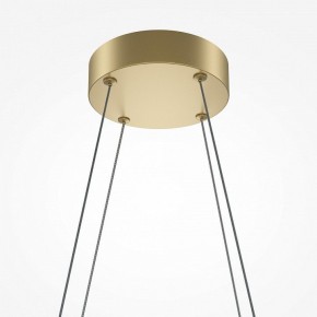 Подвесная люстра Maytoni Halo MOD244PL-L50BSK в Ижевске - izhevsk.mebel24.online | фото 4