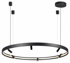 Подвесная люстра Odeon Light Fonda 4317/93L в Ижевске - izhevsk.mebel24.online | фото 4