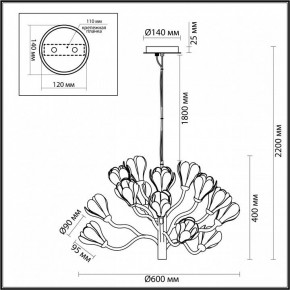 Подвесная люстра Odeon Light Gardi 5090/15 в Ижевске - izhevsk.mebel24.online | фото 6