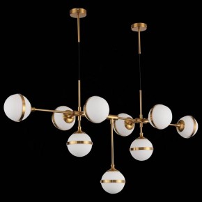 Подвесная люстра ST-Luce Arbe SL1157.303.09 в Ижевске - izhevsk.mebel24.online | фото 4