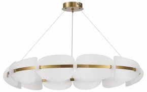 Подвесная люстра ST-Luce Etoile SL1304.203.65 в Ижевске - izhevsk.mebel24.online | фото 3