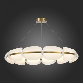 Подвесная люстра ST-Luce Etoile SL1304.203.65 в Ижевске - izhevsk.mebel24.online | фото 5