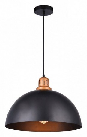 Подвесной светильник Arte Lamp Eurica A4249SP-1BK в Ижевске - izhevsk.mebel24.online | фото 2