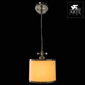 Подвесной светильник Arte Lamp Furore A3990SP-1CC в Ижевске - izhevsk.mebel24.online | фото 3