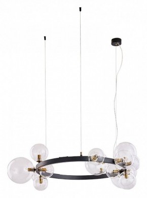 Подвесной светильник Arte Lamp Vincent A7790SP-15BK в Ижевске - izhevsk.mebel24.online | фото 2