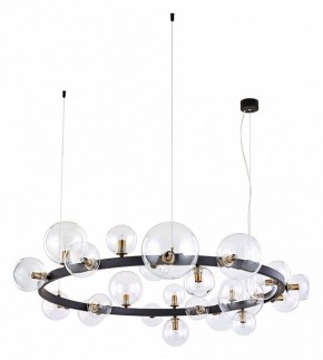 Подвесной светильник Arte Lamp Vincent A7790SP-24BK в Ижевске - izhevsk.mebel24.online | фото 2