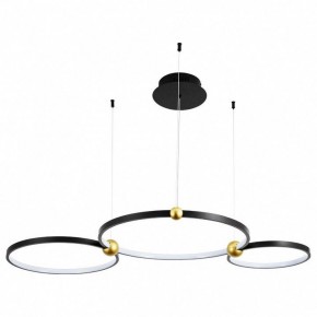 Подвесной светильник Divinare Amadeo 1123/04 SP-75 в Ижевске - izhevsk.mebel24.online | фото