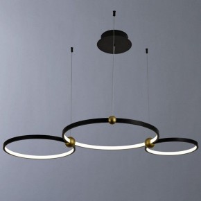 Подвесной светильник Divinare Amadeo 1123/04 SP-75 в Ижевске - izhevsk.mebel24.online | фото 2