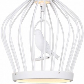 Подвесной светильник Favourite Chick 1931-2P в Ижевске - izhevsk.mebel24.online | фото 3
