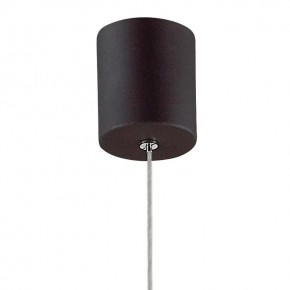Подвесной светильник Favourite Cornetta 2121-1P в Ижевске - izhevsk.mebel24.online | фото 4