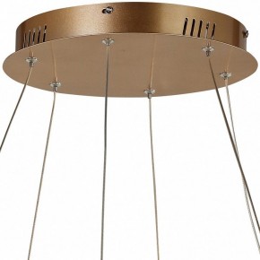 Подвесной светильник Favourite Hexagon 2103-14P в Ижевске - izhevsk.mebel24.online | фото 5