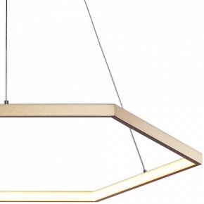 Подвесной светильник Favourite Hexagon 2103-6P в Ижевске - izhevsk.mebel24.online | фото 3