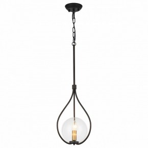 Подвесной светильник Favourite Kessel 1905-1P в Ижевске - izhevsk.mebel24.online | фото 2