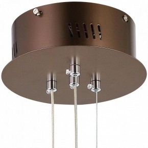 Подвесной светильник Favourite Saturn 2102-2P в Ижевске - izhevsk.mebel24.online | фото 5