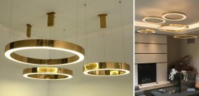 Подвесной светильник Imperiumloft Light Ring Horizontal 40.1454-100 в Ижевске - izhevsk.mebel24.online | фото 2