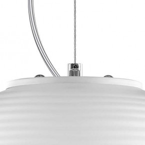 Подвесной светильник Lightstar Arnia 805011 в Ижевске - izhevsk.mebel24.online | фото 6