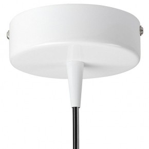 Подвесной светильник Lightstar Conicita 804110 в Ижевске - izhevsk.mebel24.online | фото 6