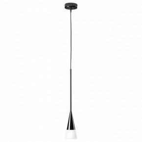 Подвесной светильник Lightstar Conicita 804117 в Ижевске - izhevsk.mebel24.online | фото 2