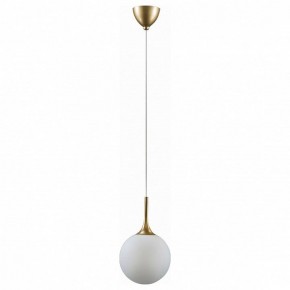 Подвесной светильник Lightstar Globo 813022 в Ижевске - izhevsk.mebel24.online | фото 2