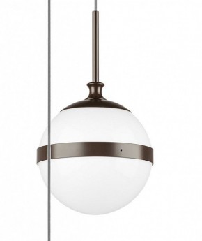 Подвесной светильник Lightstar Globo 813137 в Ижевске - izhevsk.mebel24.online | фото 5