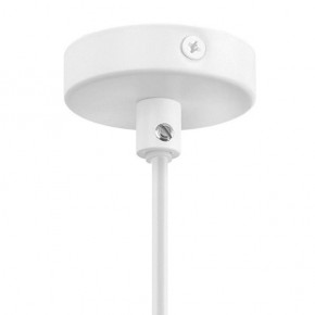 Подвесной светильник Lightstar Loft 765026 в Ижевске - izhevsk.mebel24.online | фото 3
