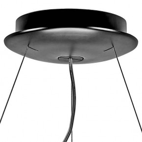 Подвесной светильник Lightstar Nibbler 812126 в Ижевске - izhevsk.mebel24.online | фото 7