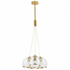 Подвесной светильник Lightstar Sferico 729031 в Ижевске - izhevsk.mebel24.online | фото 2
