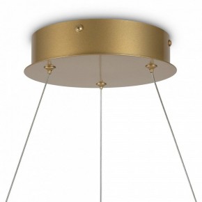 Подвесной светильник Maytoni Halo MOD100PL-L88BSK1 в Ижевске - izhevsk.mebel24.online | фото 6