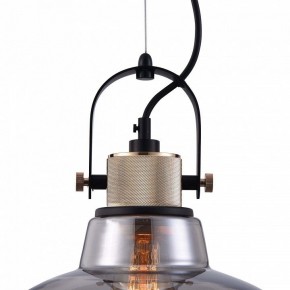 Подвесной светильник Maytoni Irving T163PL-01C в Ижевске - izhevsk.mebel24.online | фото 9