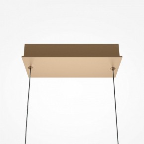 Подвесной светильник Maytoni Plons MOD283PL-L40BS3K в Ижевске - izhevsk.mebel24.online | фото 4