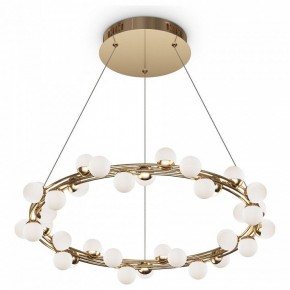 Подвесной светильник Maytoni Tessara MOD081PL-L50G3K в Ижевске - izhevsk.mebel24.online | фото 2