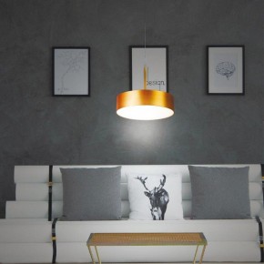 Подвесной светильник Novotech Prometa 358766 в Ижевске - izhevsk.mebel24.online | фото 4
