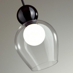 Подвесной светильник Odeon Light Blacky 2 5023/1 в Ижевске - izhevsk.mebel24.online | фото 6