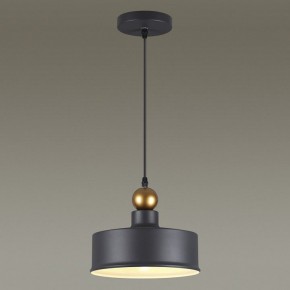 Подвесной светильник Odeon Light Bolli 4088/1 в Ижевске - izhevsk.mebel24.online | фото 4