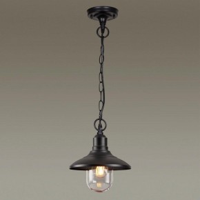 Подвесной светильник Odeon Light Campa 4965/1 в Ижевске - izhevsk.mebel24.online | фото 2