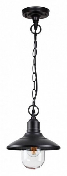 Подвесной светильник Odeon Light Campa 4965/1 в Ижевске - izhevsk.mebel24.online | фото 3