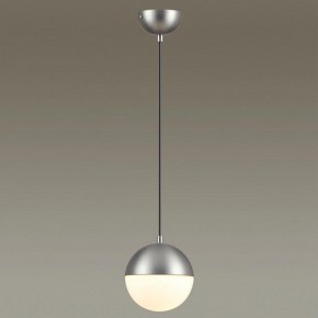 Подвесной светильник Odeon Light Pinga 4959/1 в Ижевске - izhevsk.mebel24.online | фото 2