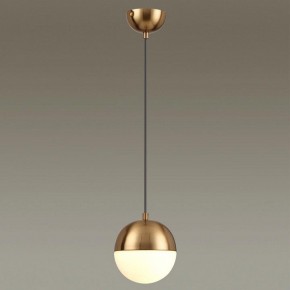 Подвесной светильник Odeon Light Pinga 4960/1 в Ижевске - izhevsk.mebel24.online | фото 2