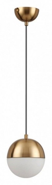 Подвесной светильник Odeon Light Pinga 4960/1 в Ижевске - izhevsk.mebel24.online | фото 3