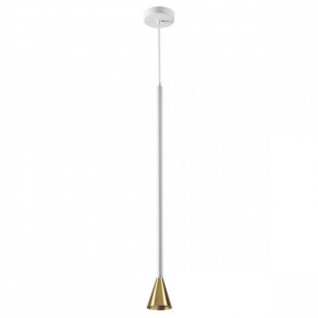 Подвесной светильник Odeon Light Pipa 3884/1GW в Ижевске - izhevsk.mebel24.online | фото 2