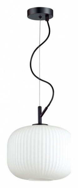 Подвесной светильник Odeon Light Roofi 4753/1 в Ижевске - izhevsk.mebel24.online | фото 2