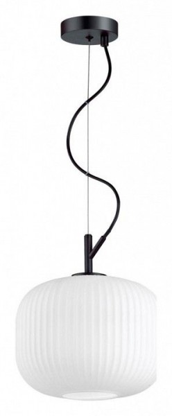 Подвесной светильник Odeon Light Roofi 4753/1 в Ижевске - izhevsk.mebel24.online | фото 3