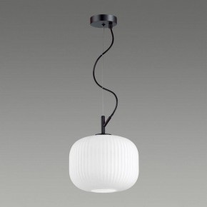 Подвесной светильник Odeon Light Roofi 4753/1 в Ижевске - izhevsk.mebel24.online | фото 4