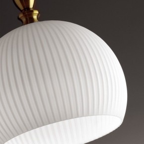 Подвесной светильник Odeon Light Runga 4766/1 в Ижевске - izhevsk.mebel24.online | фото 8