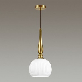 Подвесной светильник Odeon Light Runga 4767/1 в Ижевске - izhevsk.mebel24.online | фото 4