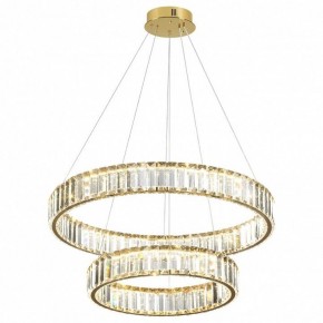 Подвесной светильник Odeon Light Vekia 5015/60L в Ижевске - izhevsk.mebel24.online | фото 2