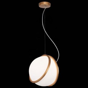 Подвесной светильник ST-Luce Acerra SL1181.353.01 в Ижевске - izhevsk.mebel24.online | фото 4